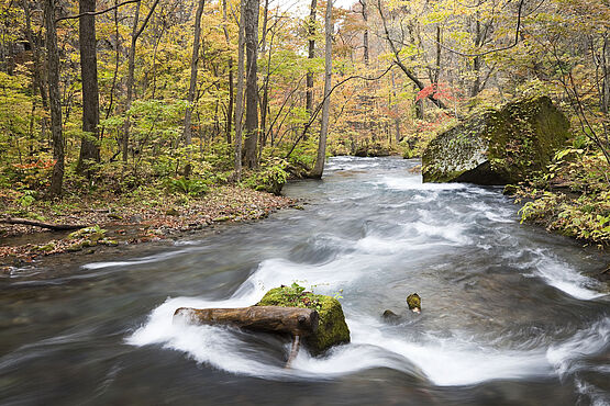 Analyse von Oberflächenwasser: WESSLING-Spezialisten nehmen Proben 